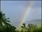 rainbow in Hawaii