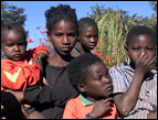 Zimbabwe Orphans